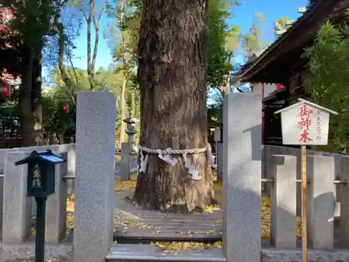 田無神社の自然