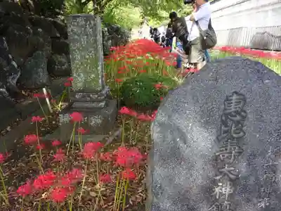 横浜　西方寺のその他建物