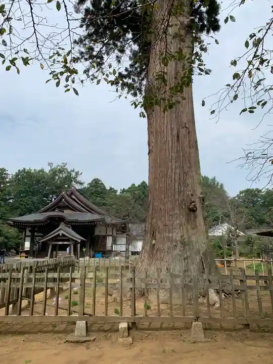 弘経寺(茨城県)