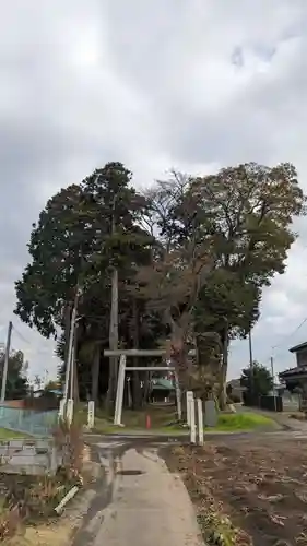 酒門神社(茨城県)