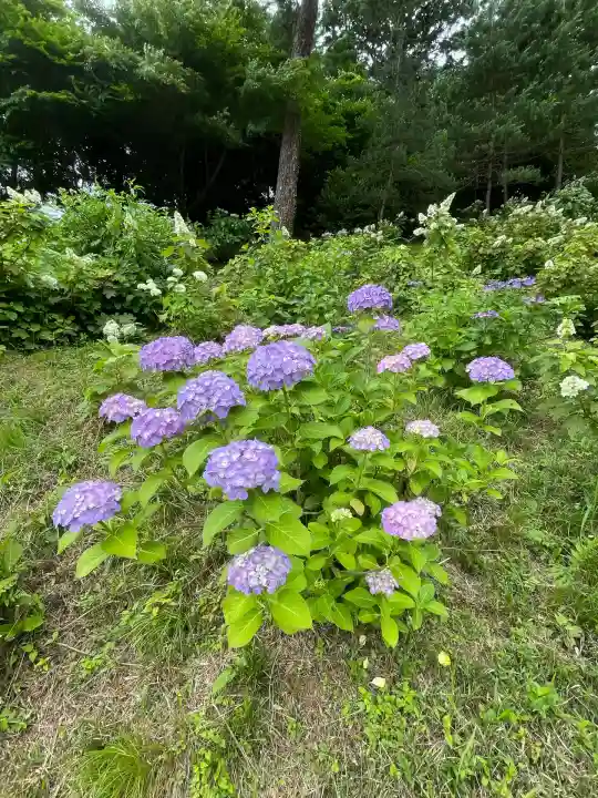 塩船観音寺(東京都)