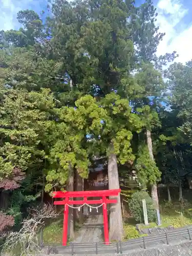 須山浅間神社の鳥居