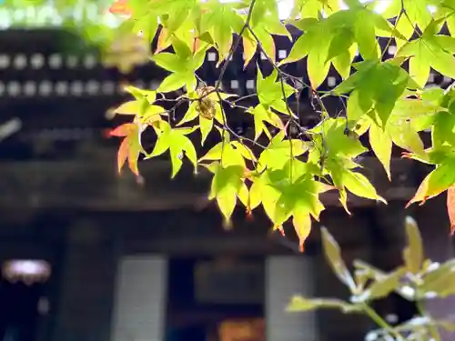 仏法紹隆寺(長野県)