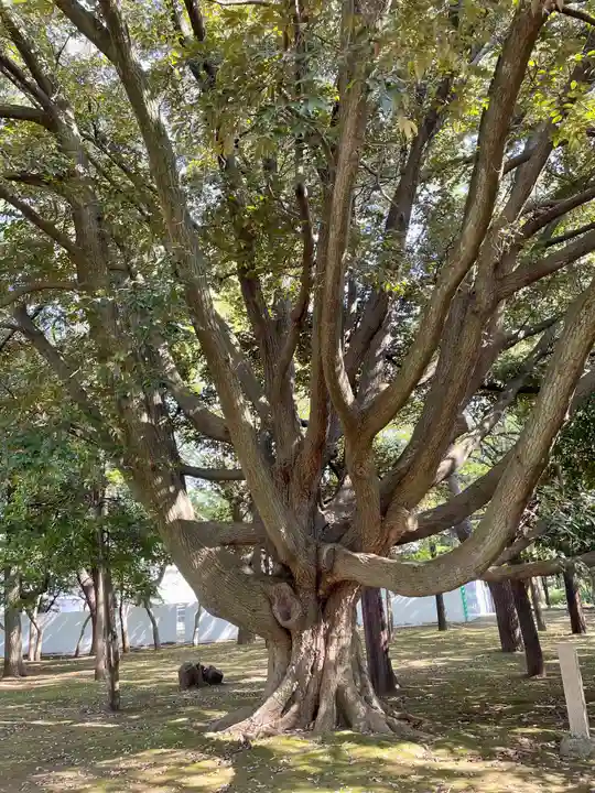 総持寺(神奈川県)