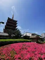 浅草寺の庭園