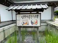千蔵院(新潟県)