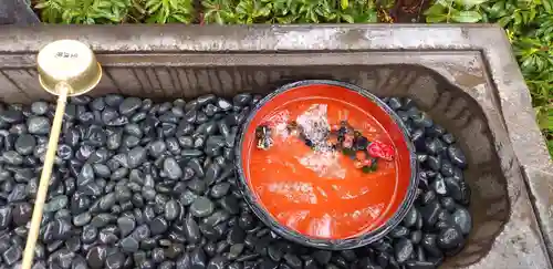 増上寺塔頭 三縁山 宝珠院の手水舎