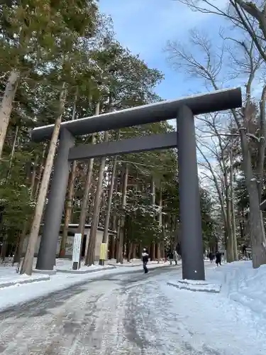 北海道神宮の鳥居