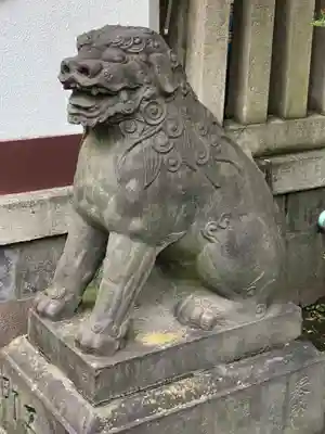 富岡八幡宮の狛犬