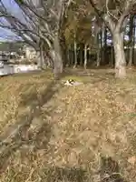 秋葉神社の動物