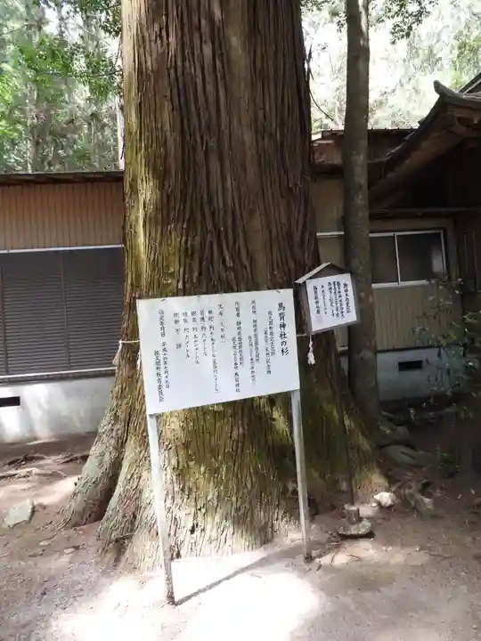 馬背神社(静岡県)