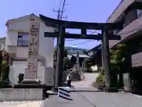 白山神社の{uncategorized: "未分類", other: "その他", undefined: "問題あり", building: "その他建物", grave: "お墓", sacred_gate: "鳥居", guardian: "狛犬", statue: "像", buddha: "仏像", history: "歴史", nature: "自然", garden: "庭園", animal: "動物", pagoda: "塔", temizu: "手水舎", mountain_gate: "山門・神門", sanctuary: "本殿・本堂", subordinate: "末社・摂社", art: "芸術", scenery: "景色", jizo: "地蔵", ema: "絵馬", goshuin: "御朱印", omikuji: "おみくじ", items: "授与品その他", amulet: "お守り", goshuincho: "御朱印帳", eats: "食事", festival: "お祭り", votive_dance: "神楽", shichigosan: "七五三参", wedding: "結婚式", experience: "体験その他", initially: "初詣", around: "周辺", anti_infection: "感染症対策"}