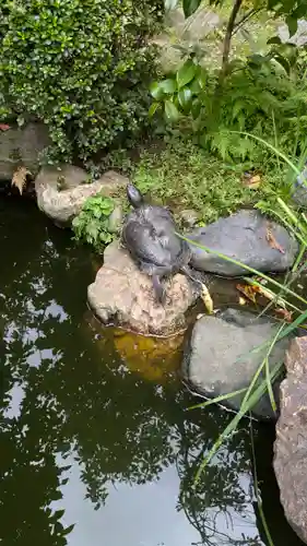 宝蔵寺(京都府)