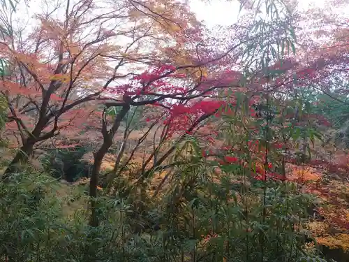 唐澤山神社の景色