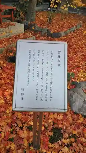 勝林寺の庭園