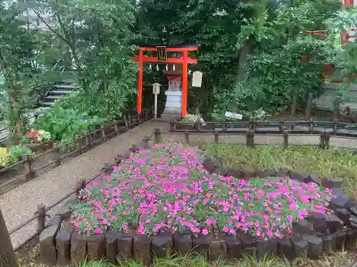 川越八幡宮(埼玉県)