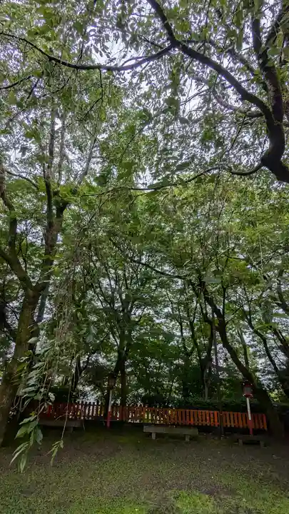 松ヶ崎大黒天 妙圓寺(妙円寺)(京都府)