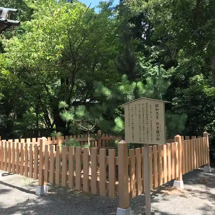 伊豆山神社の自然