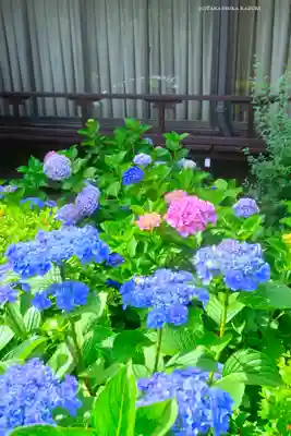 本郷氷川神社(東京都)