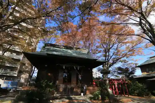 愛宕神社の本殿・本堂