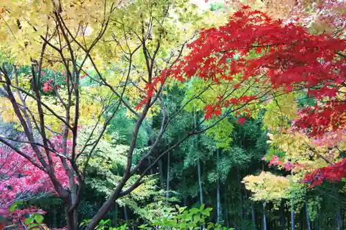 本土寺(千葉県)
