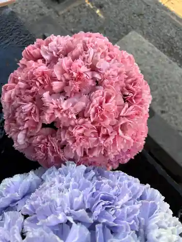 上尾御嶽神社の手水舎