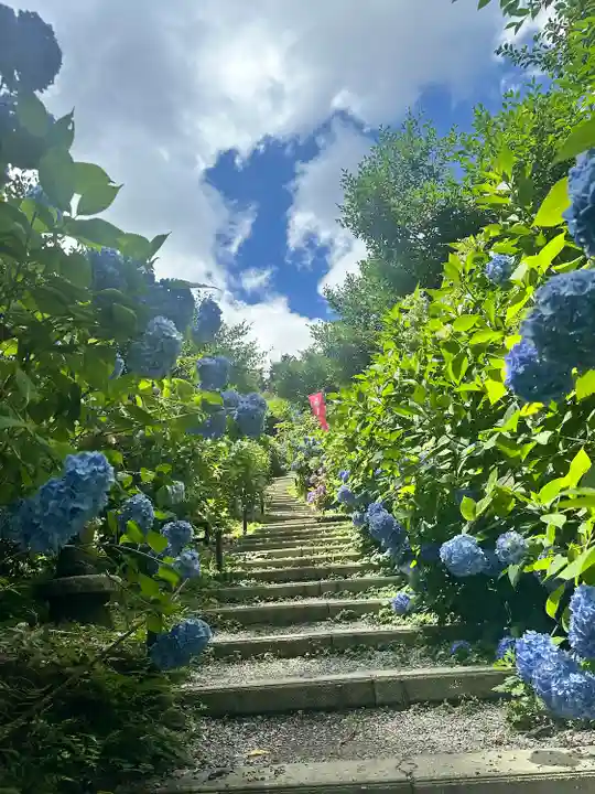 鷲子山上神社(栃木県)