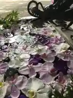 札幌諏訪神社の手水舎