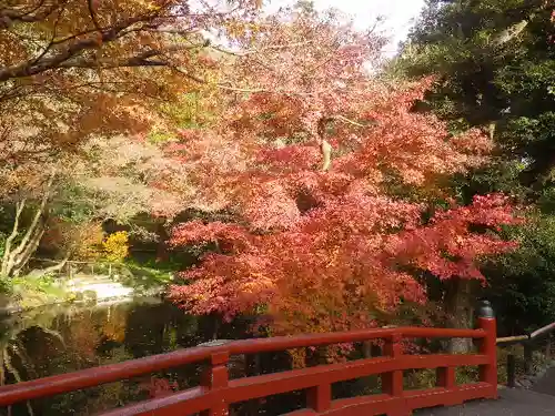 鶴岡八幡宮の庭園