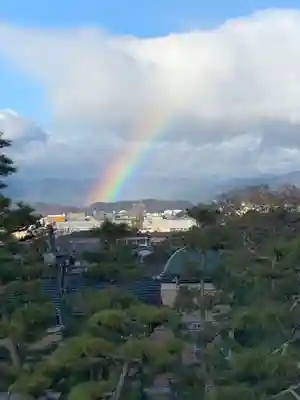 京都祇園堂(廃寺?)の自然