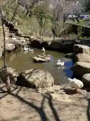 楽法寺（雨引観音）の動物