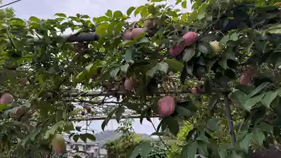 最上寺(千葉県)