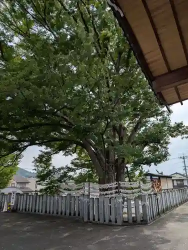 出雲大社美作分院(岡山県)