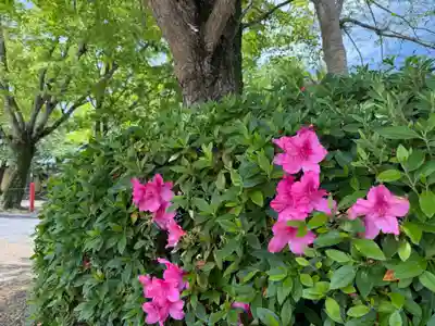 美奈宜神社(福岡県)