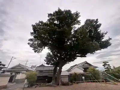 大坂山口神社(逢坂)(奈良県)