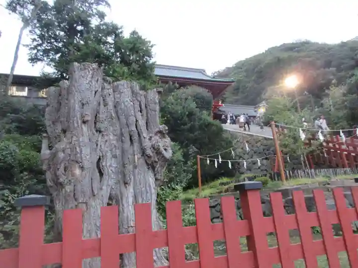 鶴岡八幡宮のその他建物
