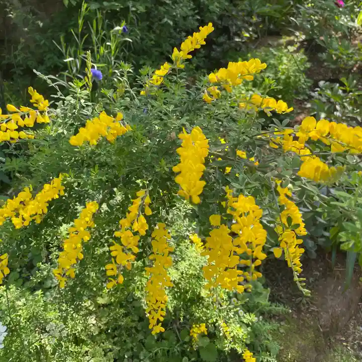 上野東照宮(東京都)