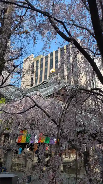 頂法寺(六角堂)(京都府)