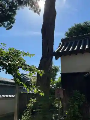 御坂神社(兵庫県)