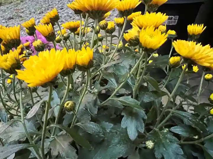 大宮温泉神社(栃木県)
