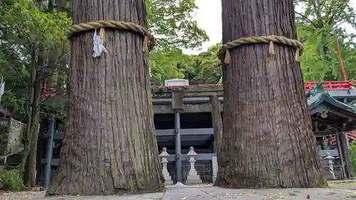 八幡朝見神社の自然