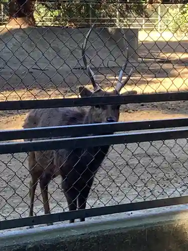 鹿島神宮(茨城県)