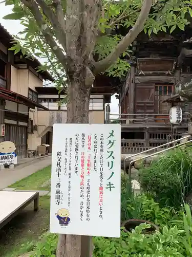 秩父札所十三番 慈眼寺の自然