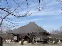 教信寺の本殿・本堂