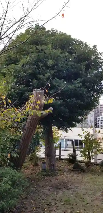 神明神社(千葉県)