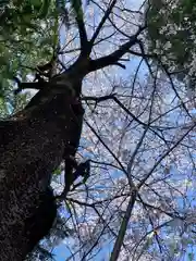 滑川神社 - 仕事と子どもの守り神の自然