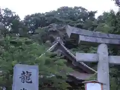 龍御前神社の自然