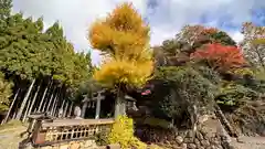 熊野神社(京都府)