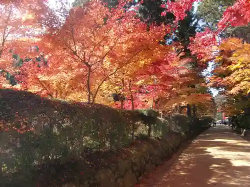 金剛峰寺大伽藍金堂(和歌山県)