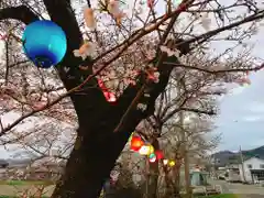 川田八幡神社の自然